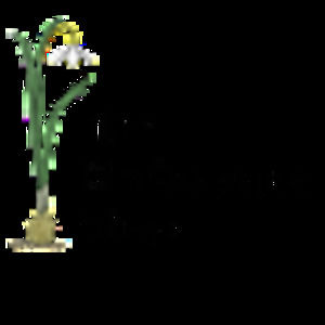 Meet your Posher, Jody